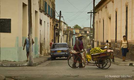 platanos